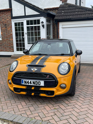 Gel Plate Collection